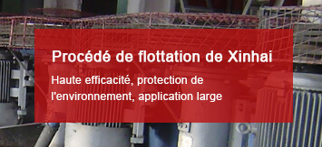 Procédé de flottation de Xinhai