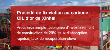 Procédé de lixiviation au carbone CIL d’or de Xinhai