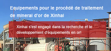 Equipements pour le procédé de traitement de minerai d’or de Xinhai