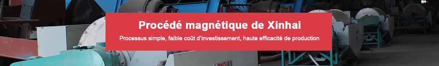 Procédé de traitement magnétique