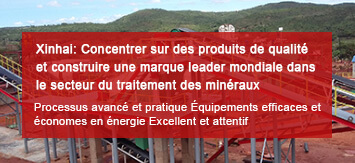 Procédé de traitement de minerai