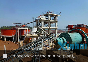 an overview of Xinhai Tanzania gold processing plant